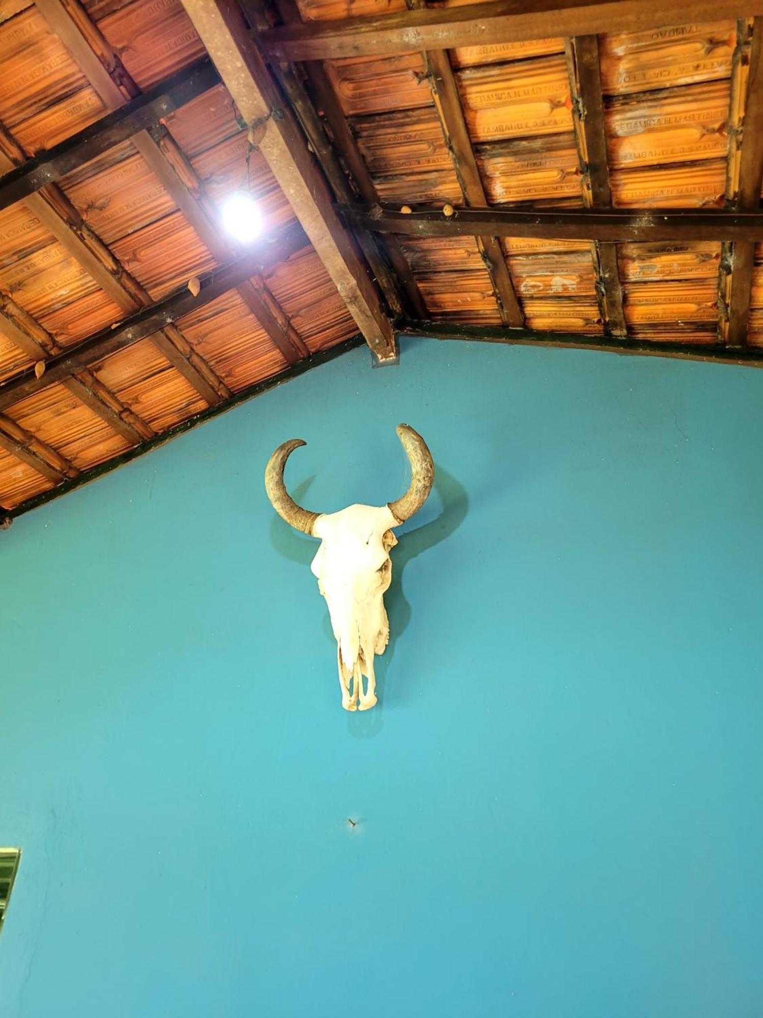 Pousada Fazenda Sao Pedro Delfinópolis エクステリア 写真