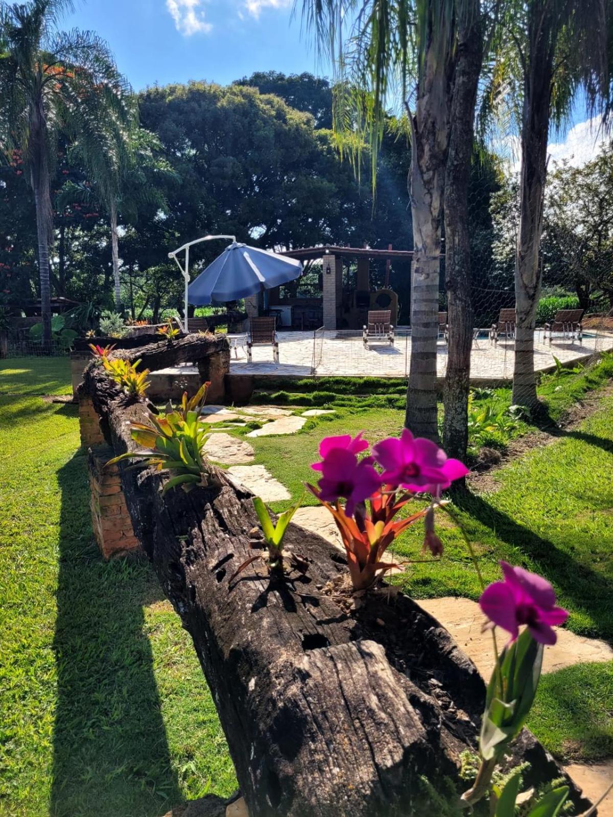 Pousada Fazenda Sao Pedro Delfinópolis エクステリア 写真